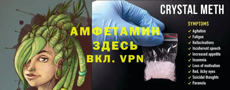 darknet состав  Калининец  АМФ Premium 