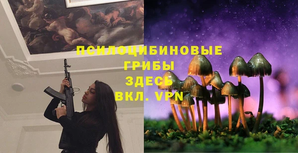 марки lsd Покачи