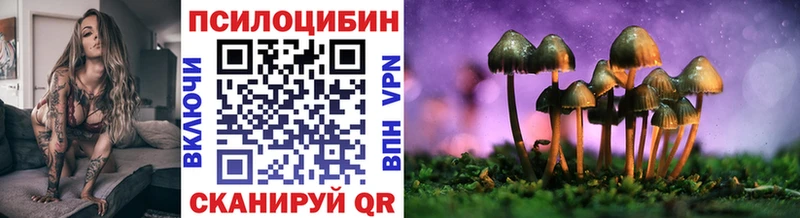 где найти наркотики  МЕГА ссылка  Галлюциногенные грибы Psilocybe  маркетплейс как зайти  Калининец 